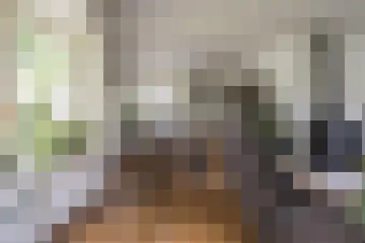 Hoofdweg 104 Bellingwolde thumbnail 27