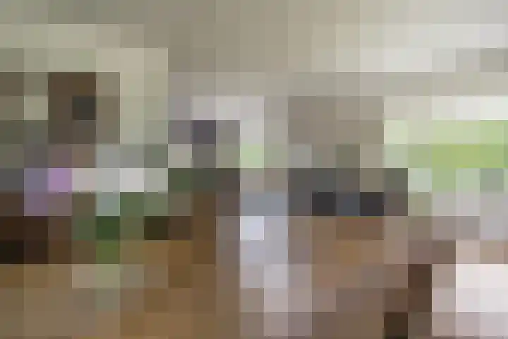 Hoofdweg 104 Bellingwolde thumbnail 28