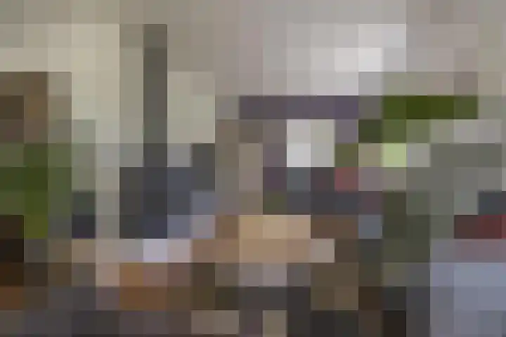 Hoofdweg 104 Bellingwolde thumbnail 30
