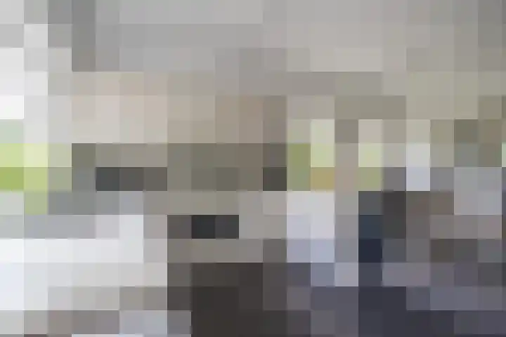 Hoofdweg 104 Bellingwolde thumbnail 33
