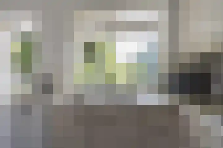 Hoofdweg 104 Bellingwolde thumbnail 34