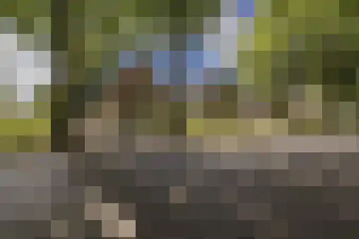 Hoofdweg 104 Bellingwolde thumbnail 4