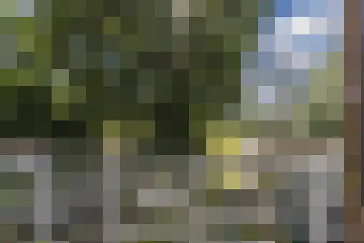 Hoofdweg 104 Bellingwolde thumbnail 49