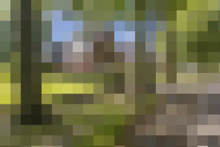 Hoofdweg 104 Bellingwolde thumbnail 5