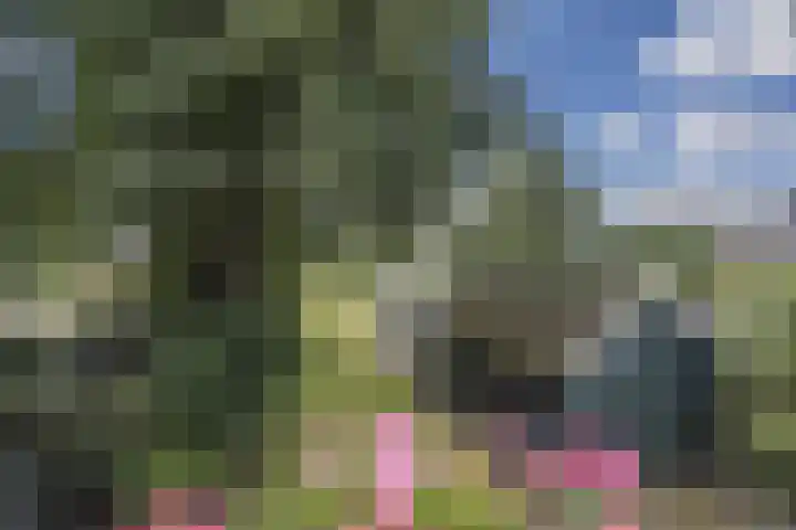 Hoofdweg 104 Bellingwolde thumbnail 51