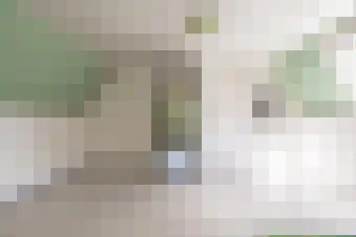 Hoofdweg 104 Bellingwolde thumbnail 55