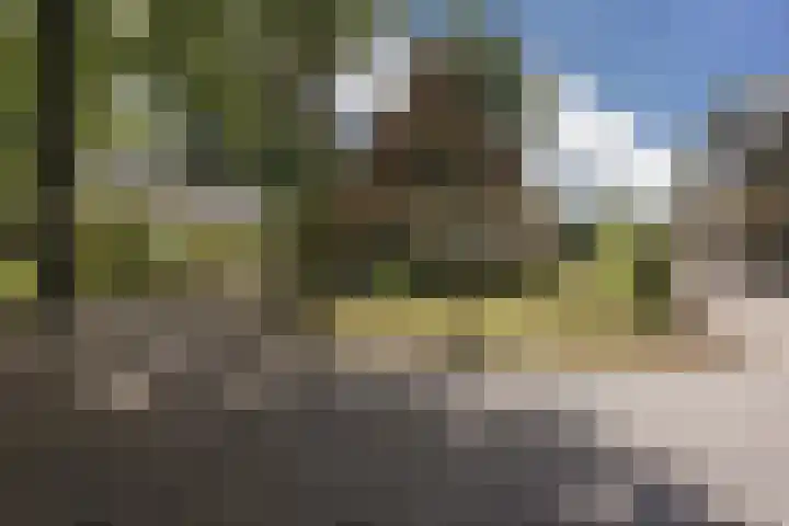 Hoofdweg 104 Bellingwolde thumbnail 6