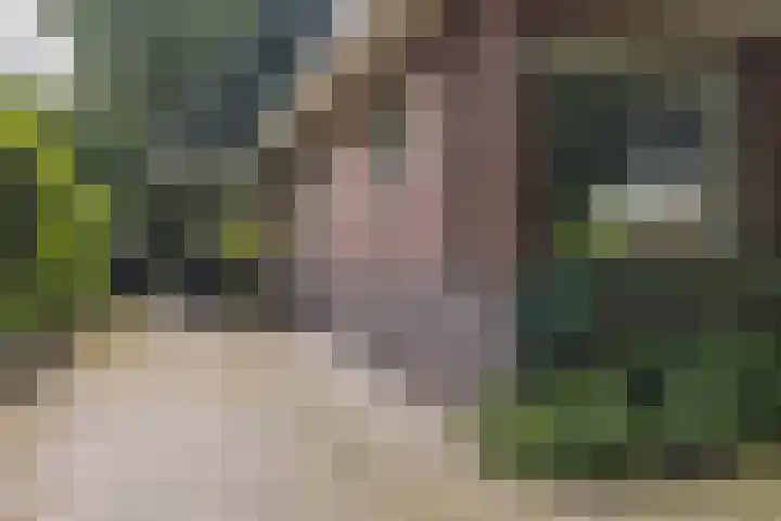 Hoofdweg 104 Bellingwolde thumbnail 7