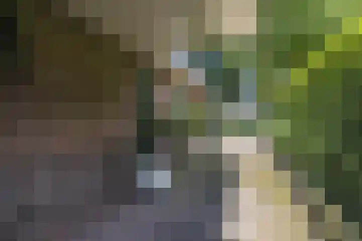 Hoofdweg 104 Bellingwolde thumbnail 8