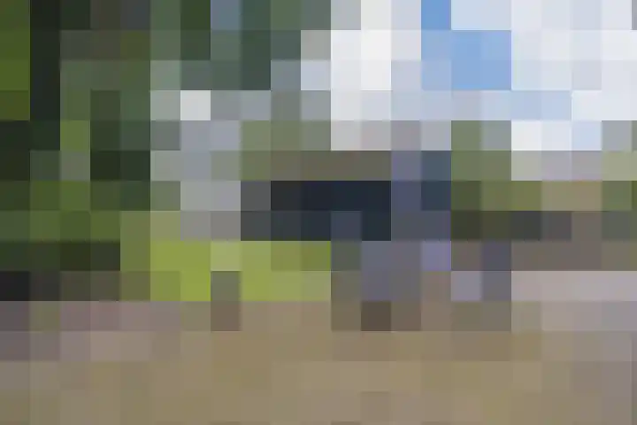 Hoofdweg 104 Bellingwolde thumbnail 9