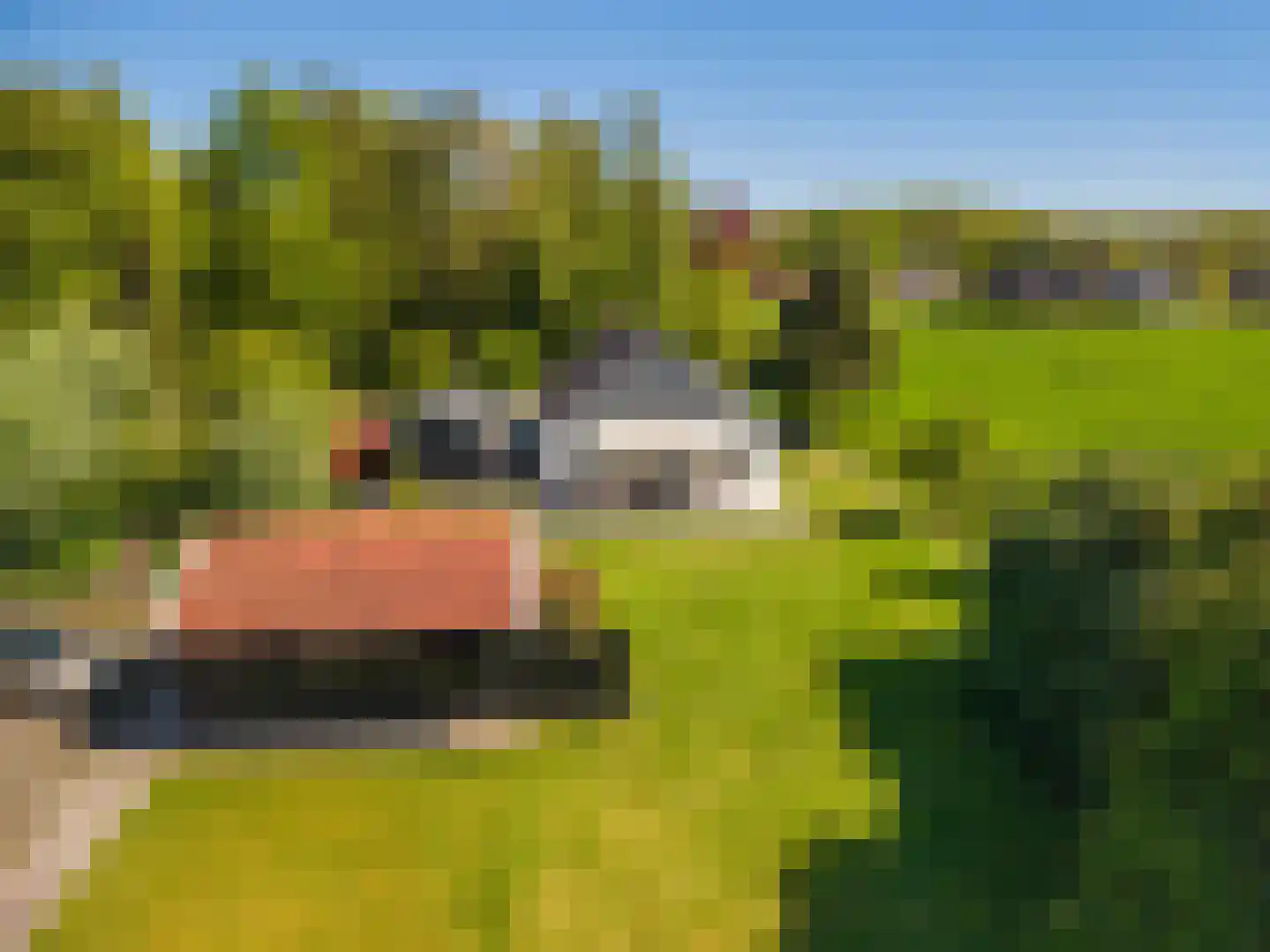 Hoofdweg 105 Blijham thumbnail 13