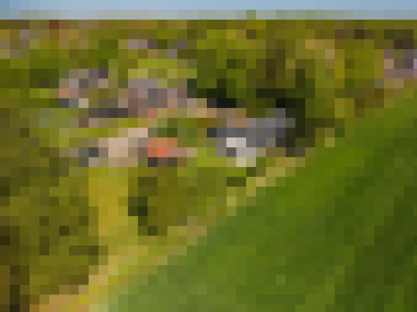 Hoofdweg 105 Blijham thumbnail 15