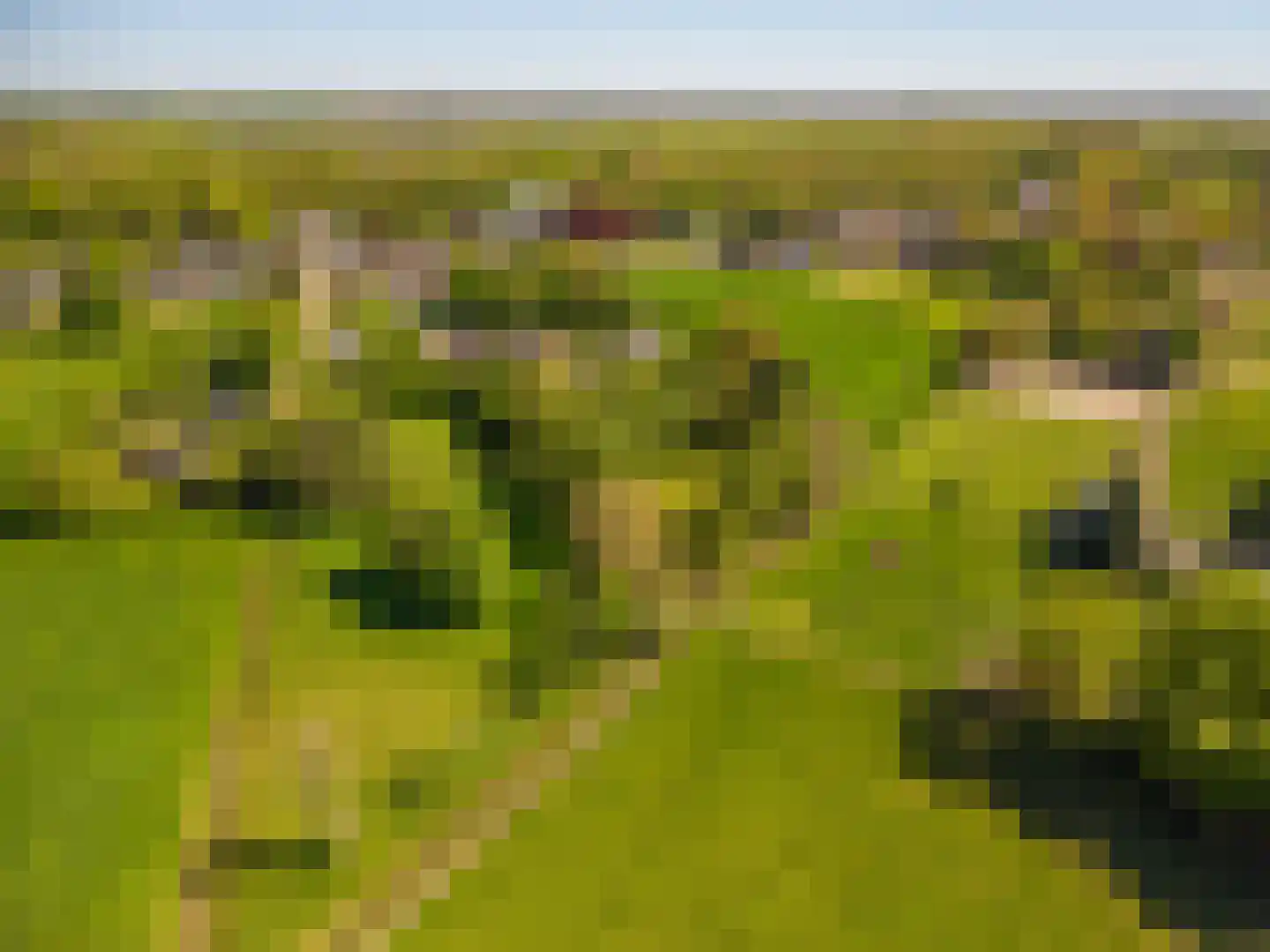 Hoofdweg 105 Blijham thumbnail 17