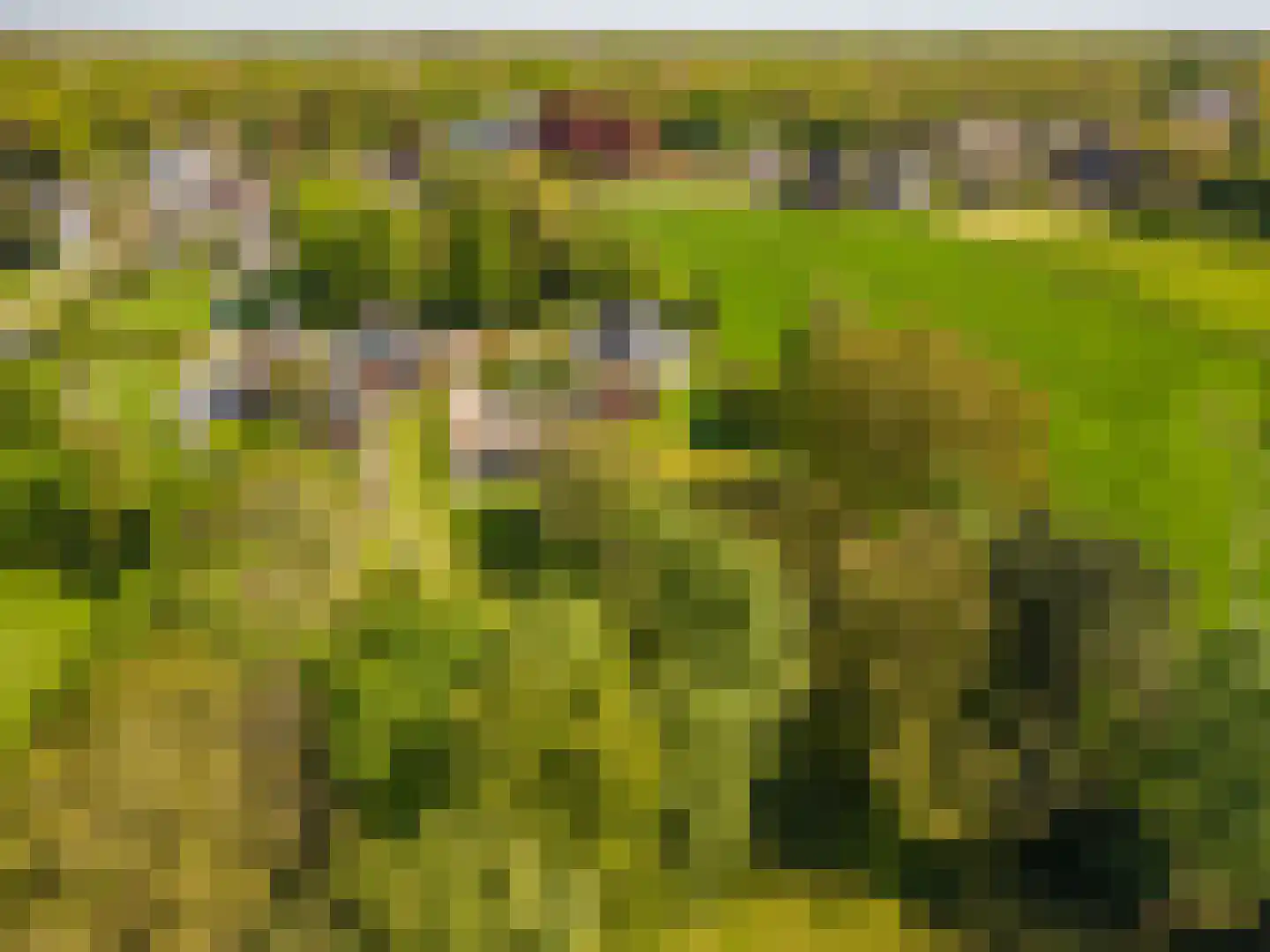 Hoofdweg 105 Blijham thumbnail 18