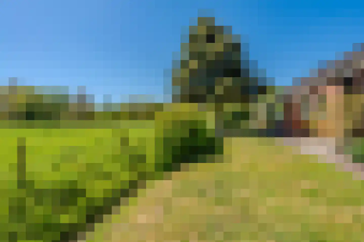 Hoofdweg 105 Blijham thumbnail 29