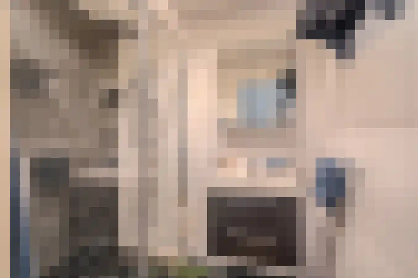 Hoofdweg 105 Blijham thumbnail 47