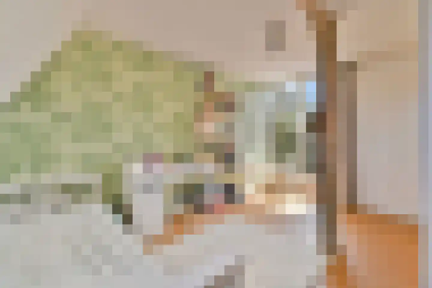 Hoofdweg 106 3 Amsterdam thumbnail 20