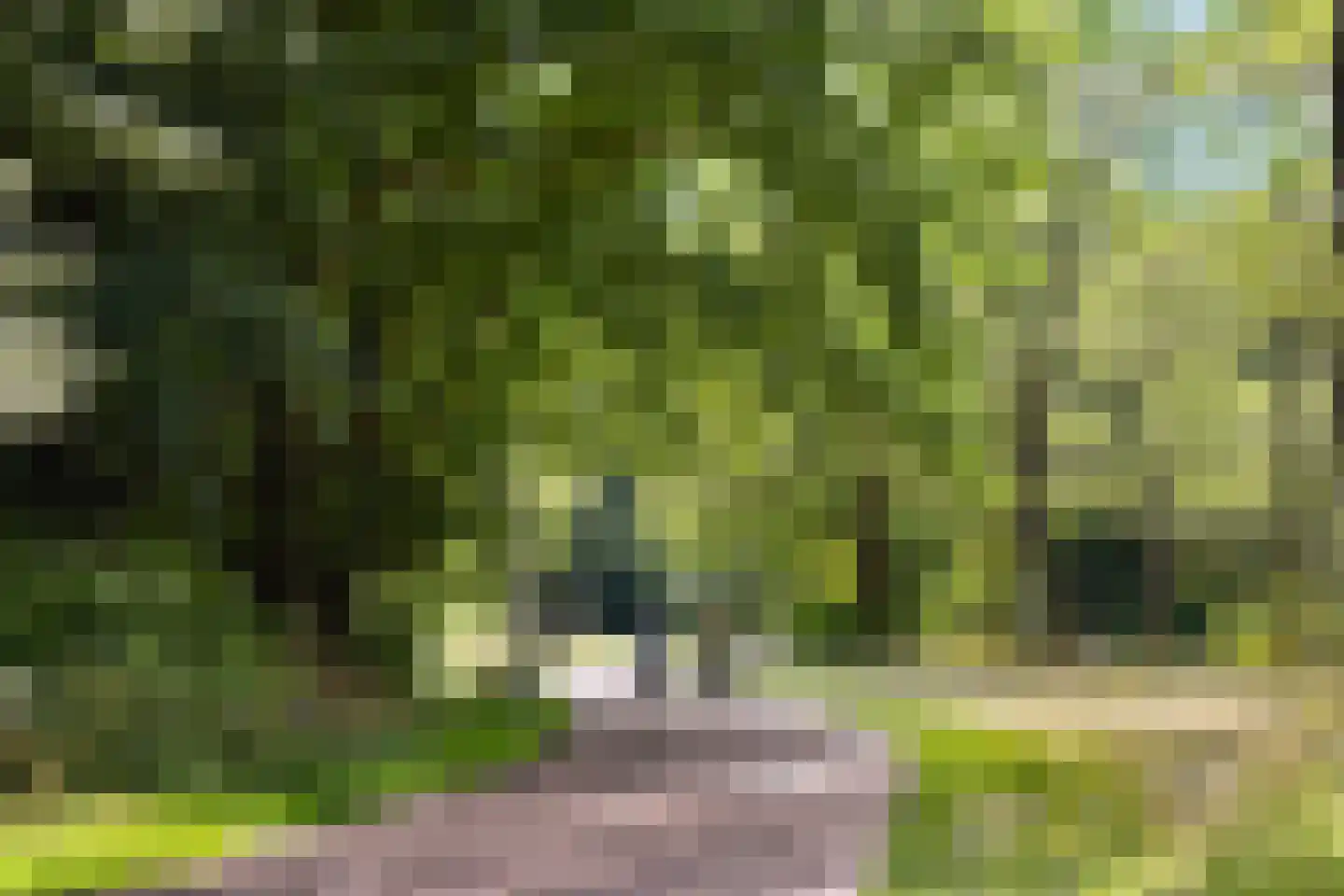 Hoofdweg 106 3 Amsterdam thumbnail 26