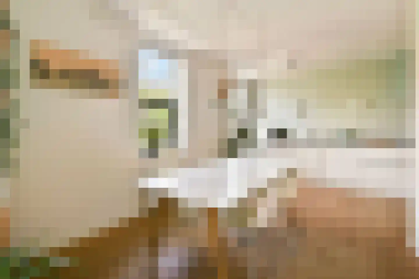 Hoofdweg 106 3 Amsterdam thumbnail 6