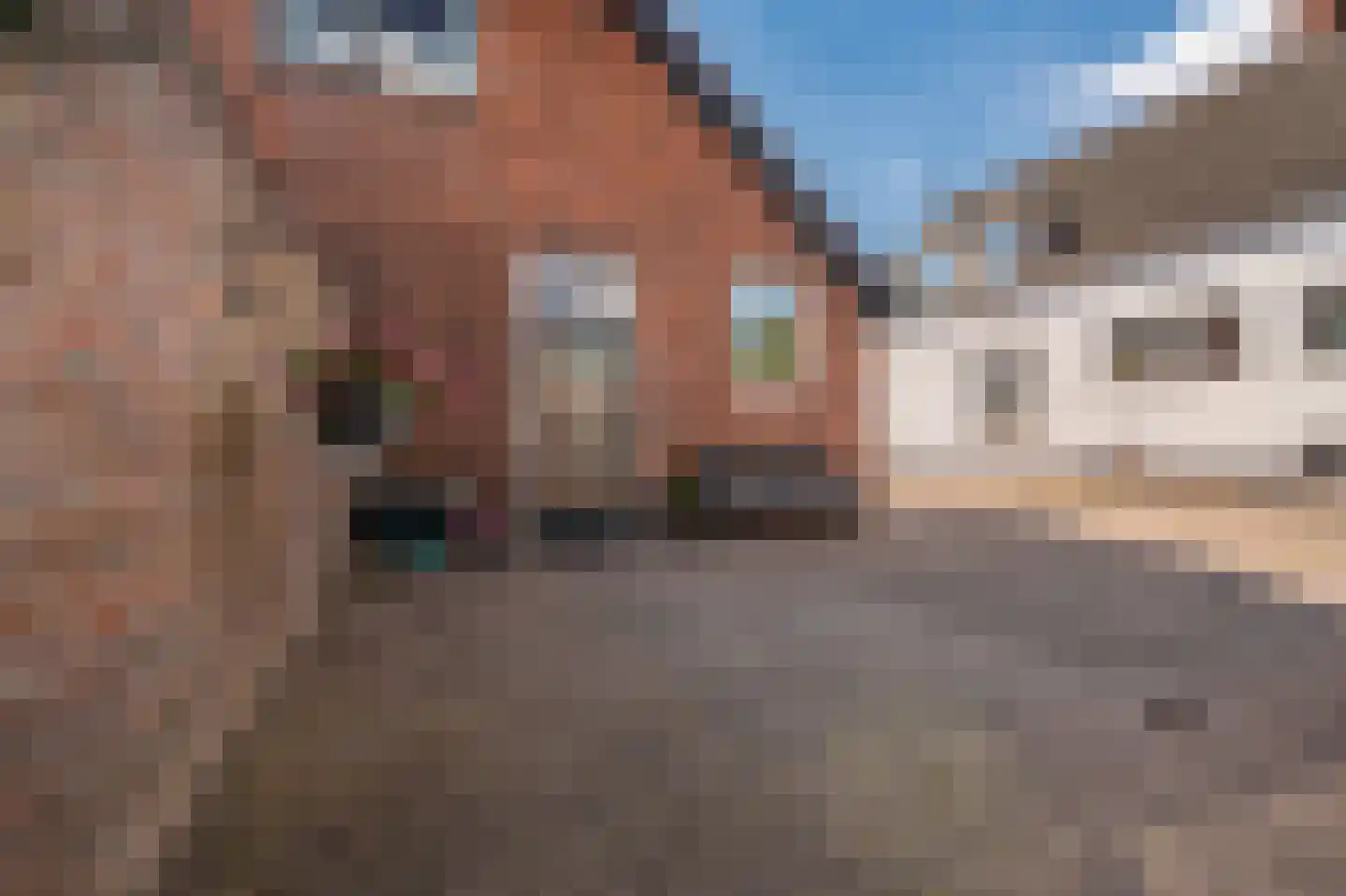 Hoofdweg 106 Blijham thumbnail 8