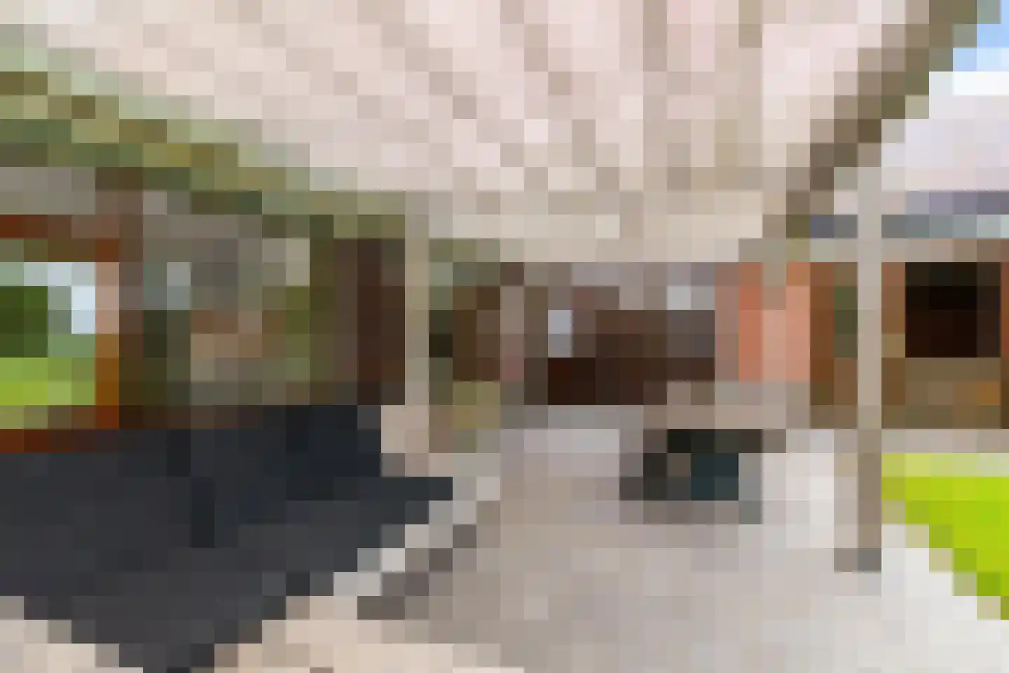 Hoofdweg 106 Froombosch thumbnail 20