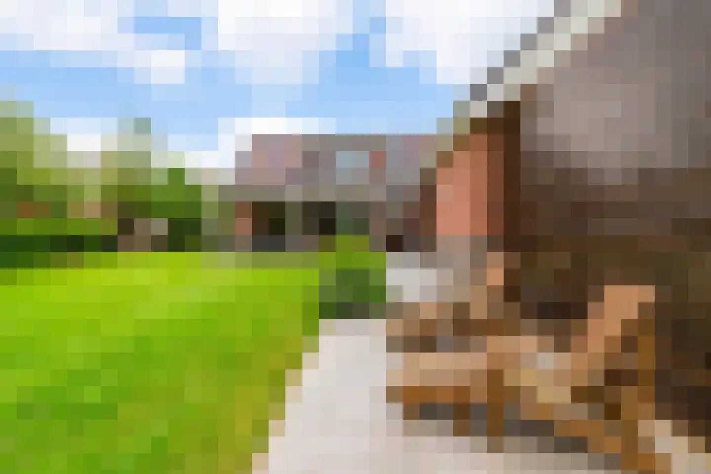 Hoofdweg 106 Froombosch thumbnail 26