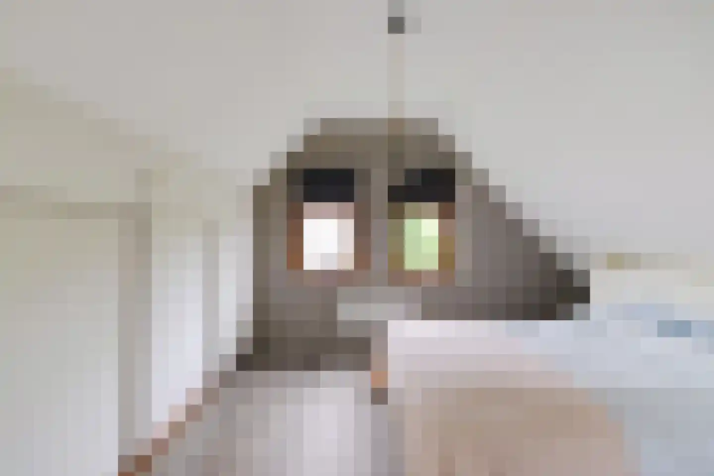 Hoofdweg 106 Froombosch thumbnail 42