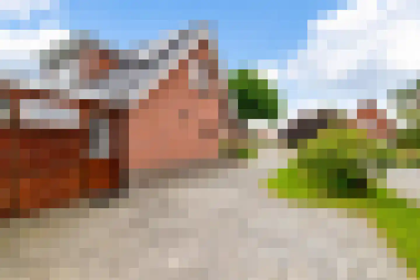 Hoofdweg 106 Froombosch thumbnail 45