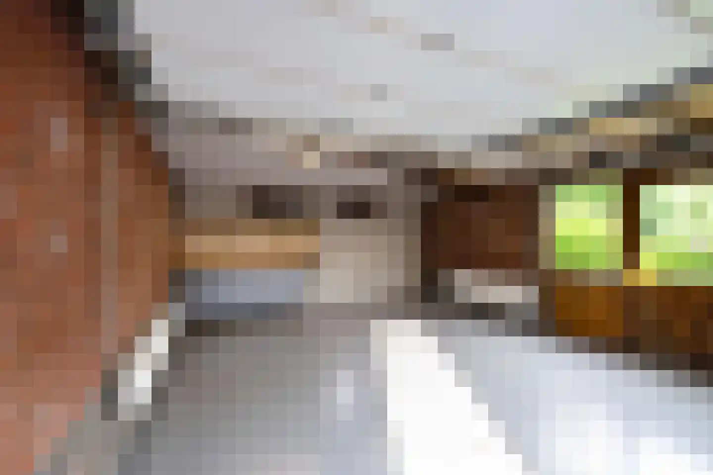 Hoofdweg 106 Froombosch thumbnail 48