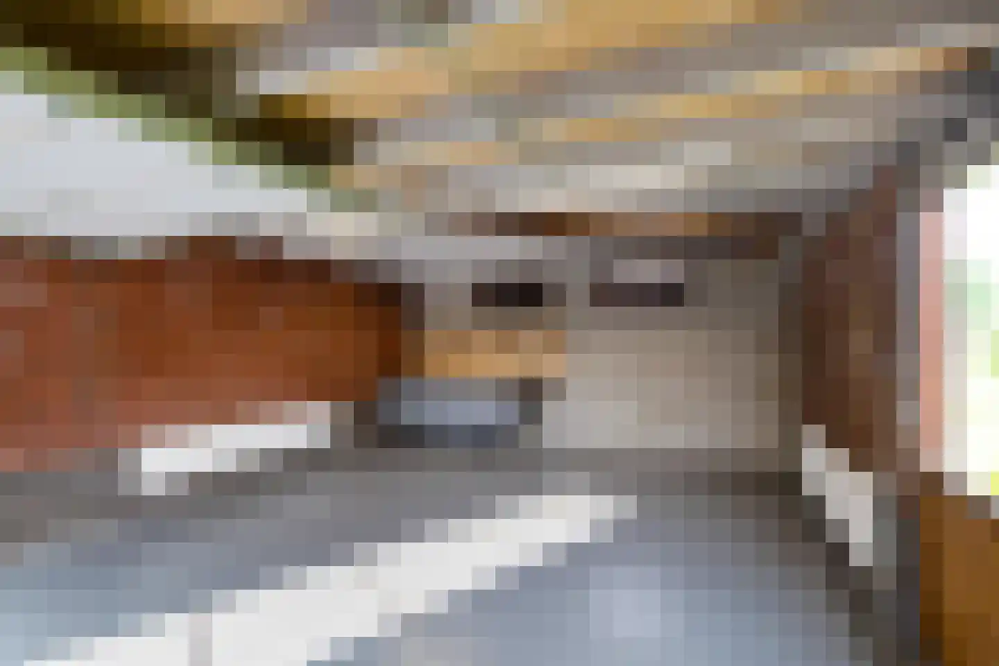 Hoofdweg 106 Froombosch thumbnail 49