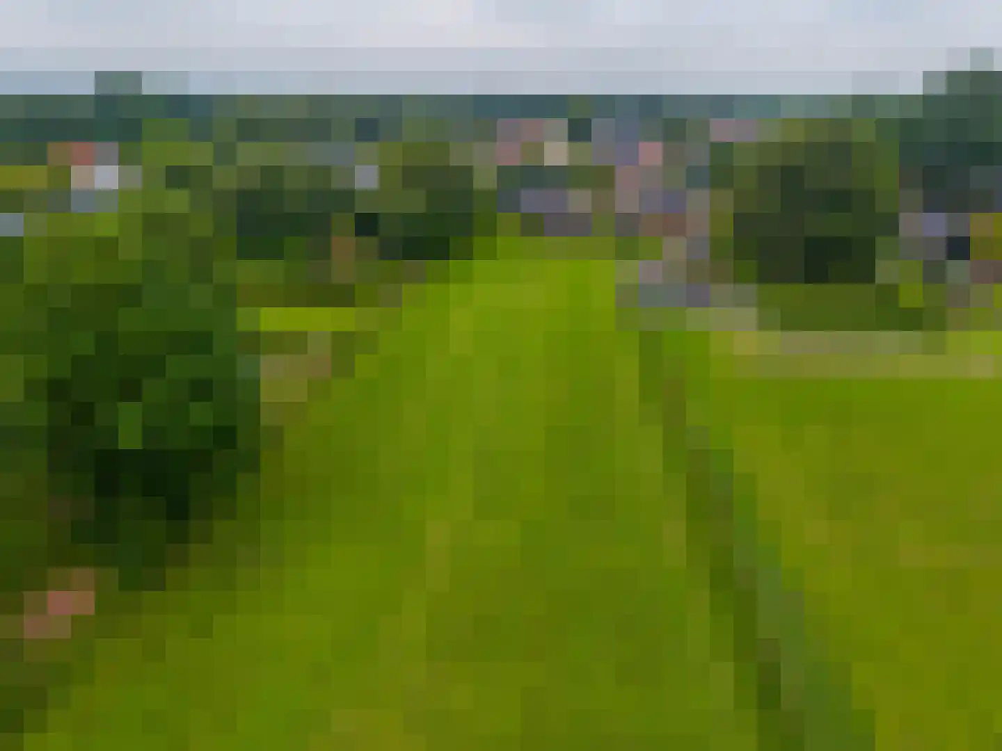 Hoofdweg 106 Froombosch thumbnail 58
