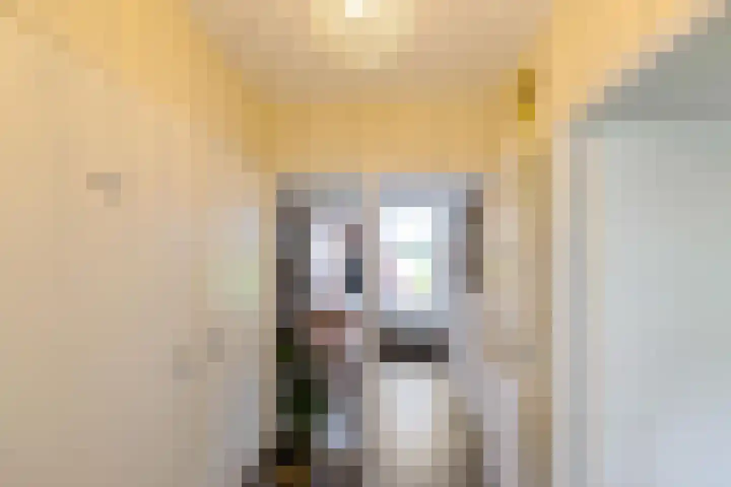 Hoofdweg 106 Froombosch thumbnail 8