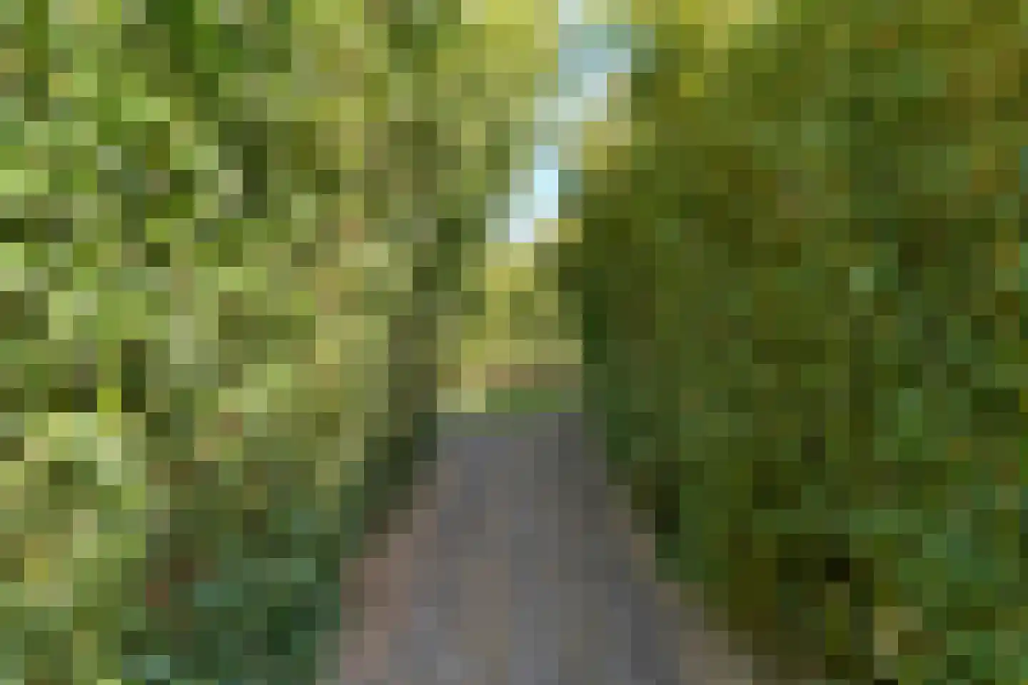 Hoofdweg 107 Coevorden thumbnail 101