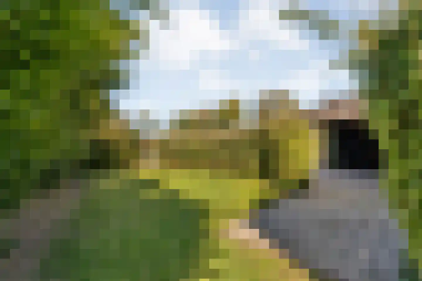Hoofdweg 107 Coevorden thumbnail 102