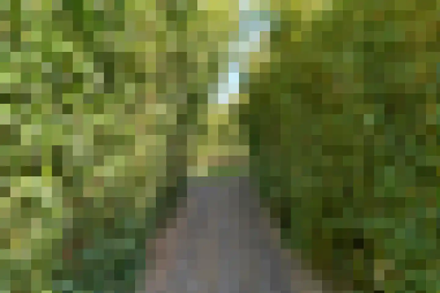 Hoofdweg 107 Coevorden thumbnail 106