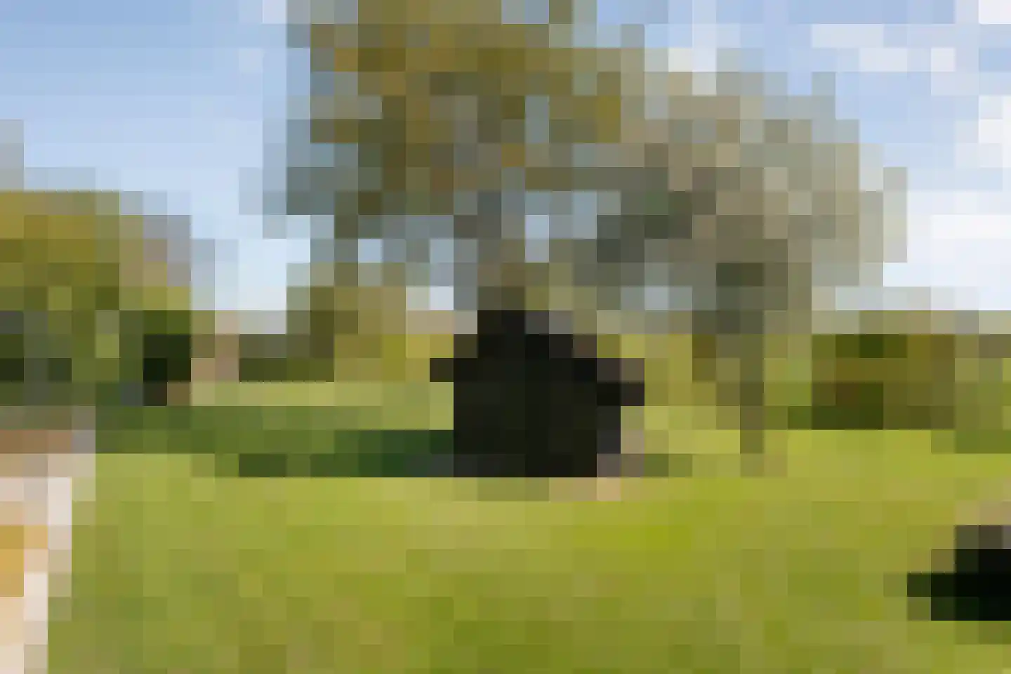 Hoofdweg 107 Coevorden thumbnail 107