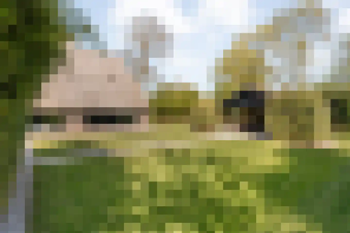 Hoofdweg 107 Coevorden thumbnail 110