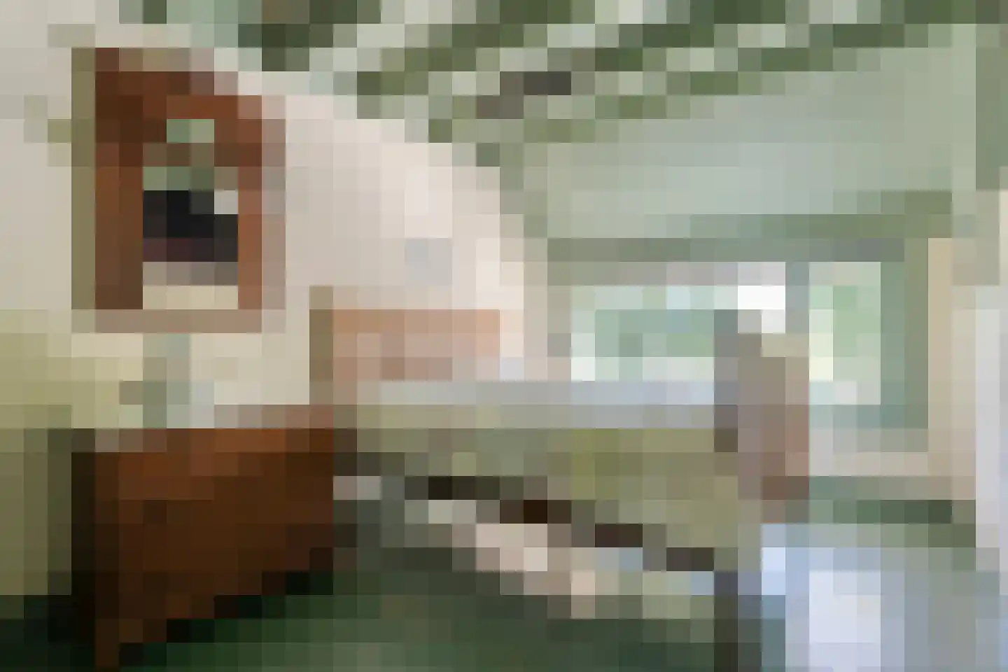 Hoofdweg 107 Coevorden thumbnail 12