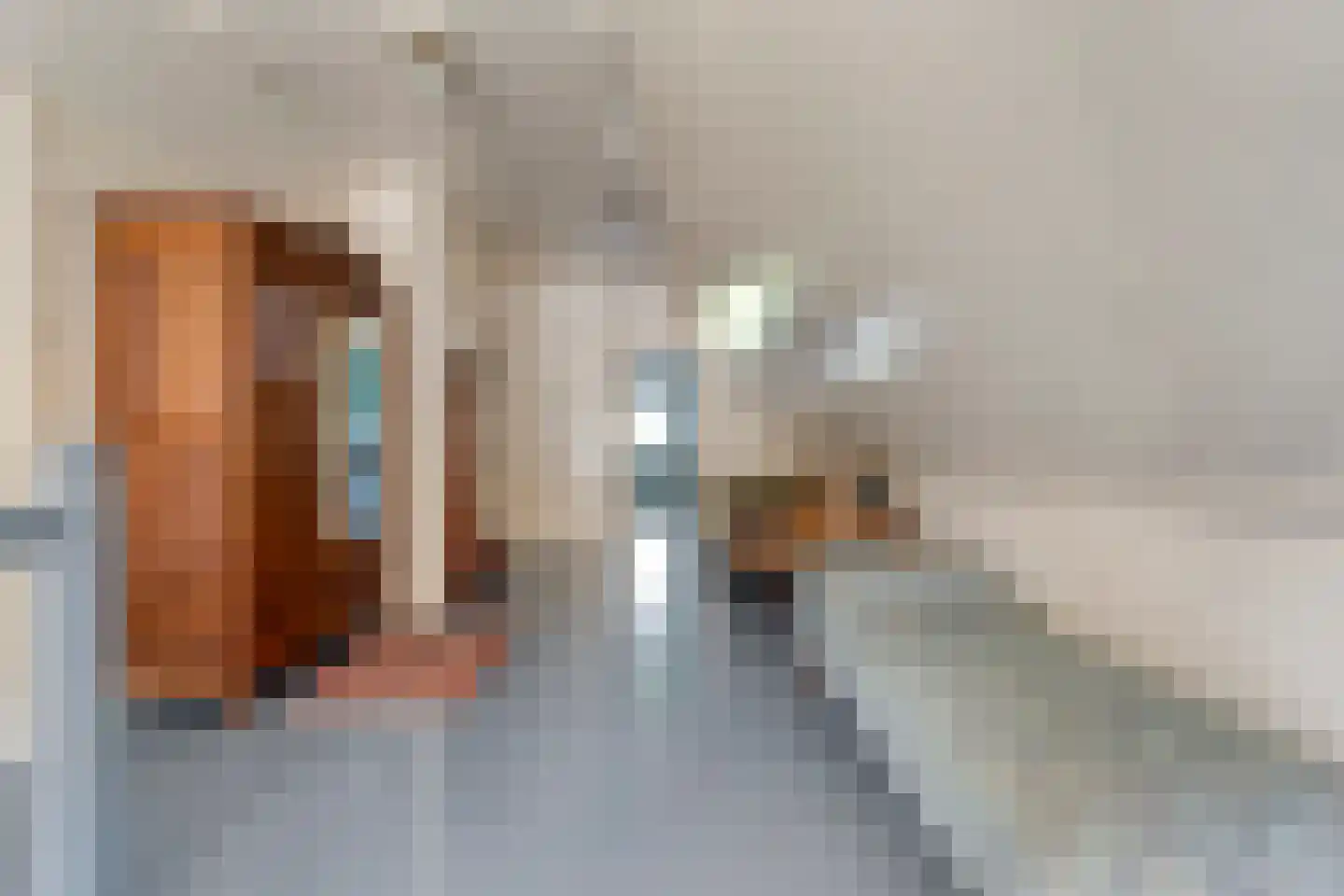Hoofdweg 107 Coevorden thumbnail 33