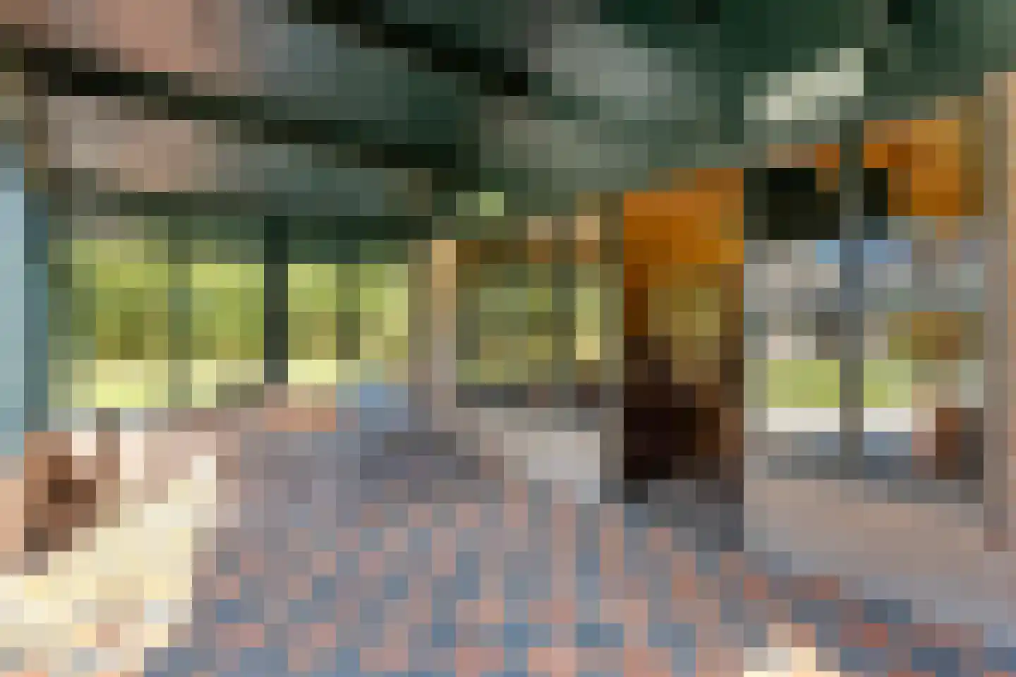 Hoofdweg 107 Coevorden thumbnail 44
