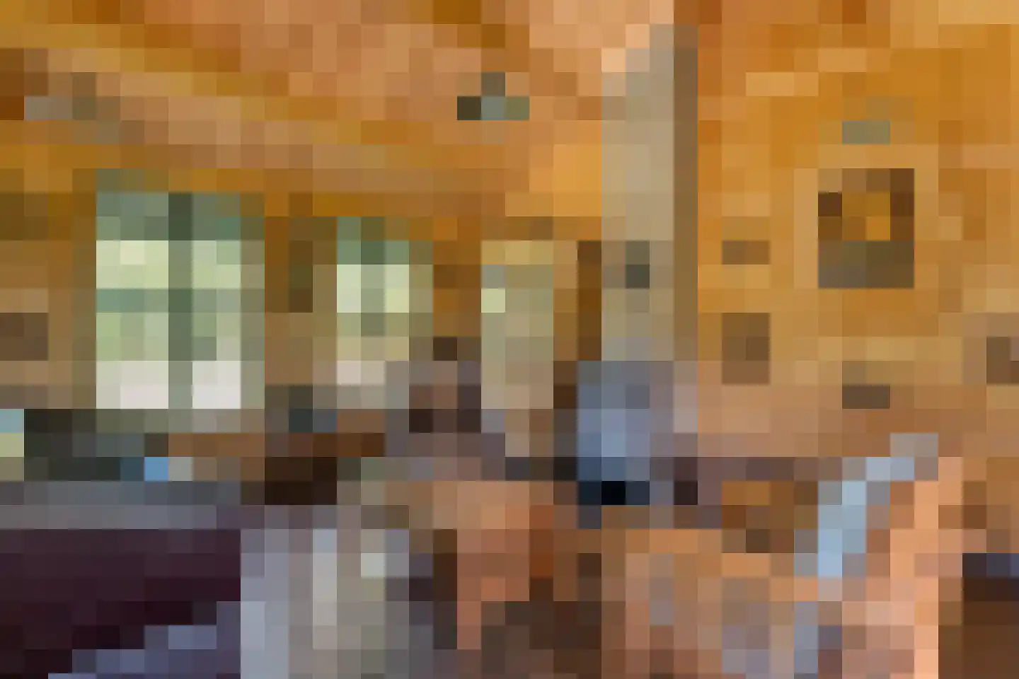 Hoofdweg 107 Coevorden thumbnail 46