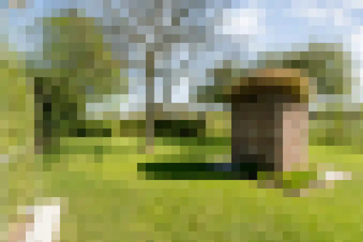 Hoofdweg 107 Coevorden thumbnail 50