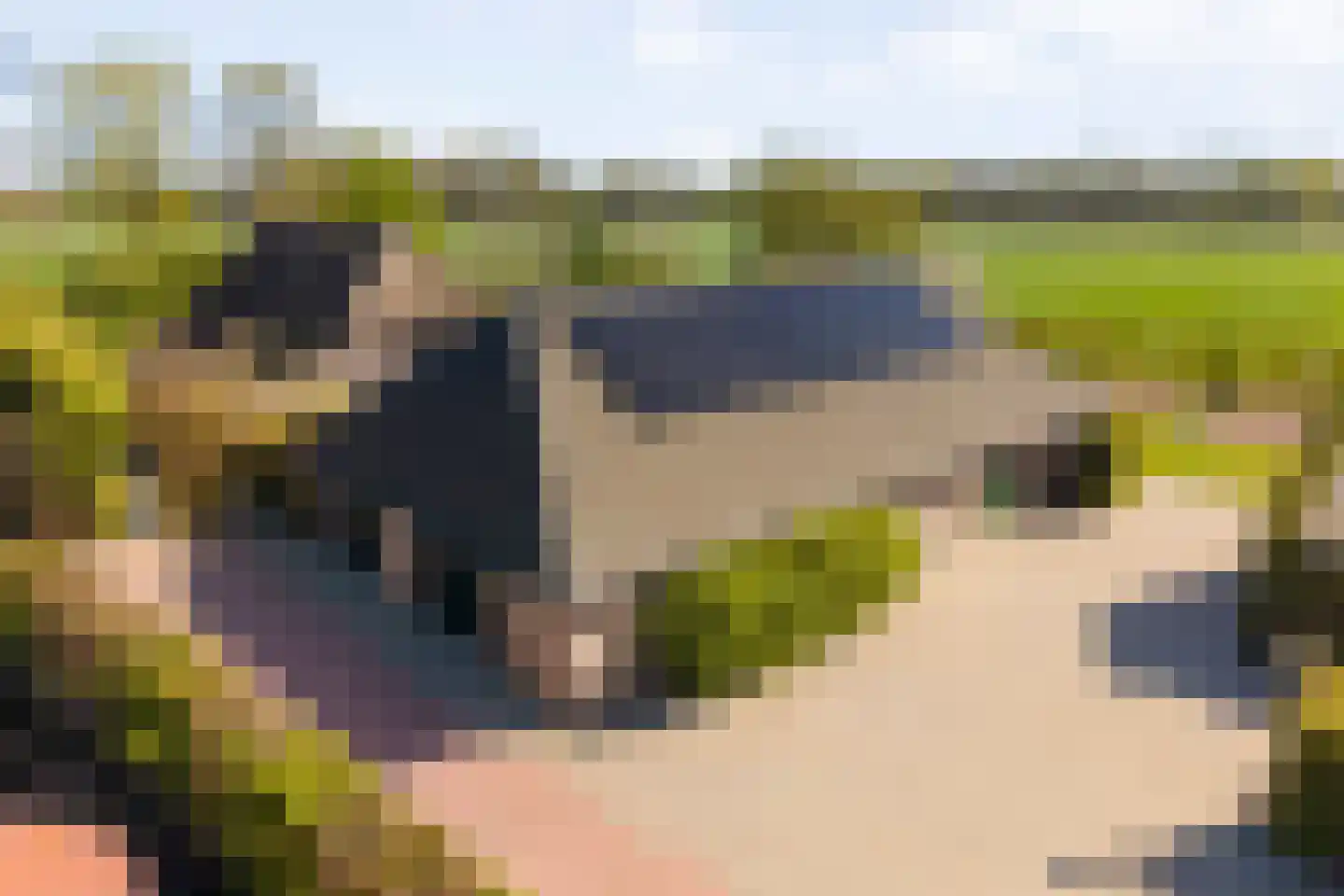Hoofdweg 107 Coevorden thumbnail 57