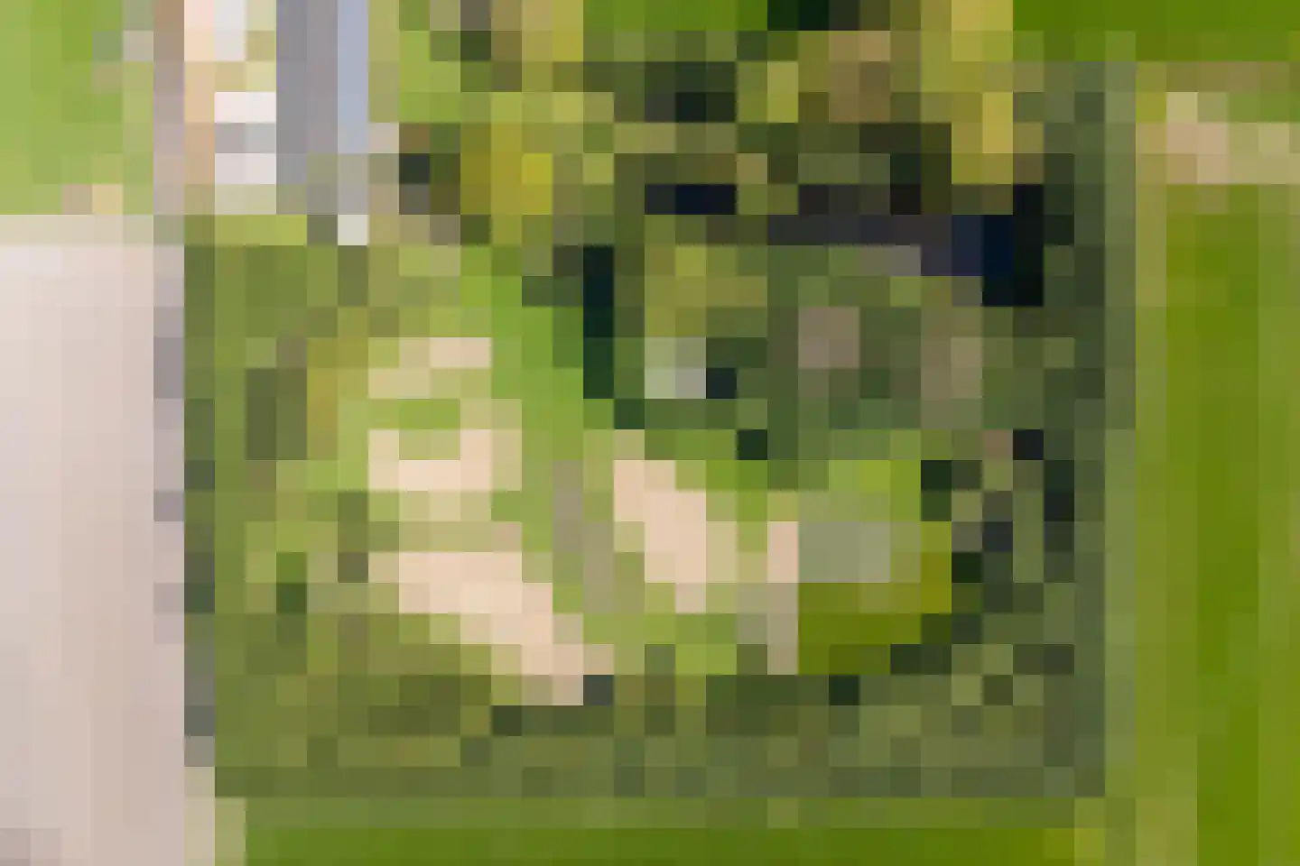 Hoofdweg 107 Coevorden thumbnail 63