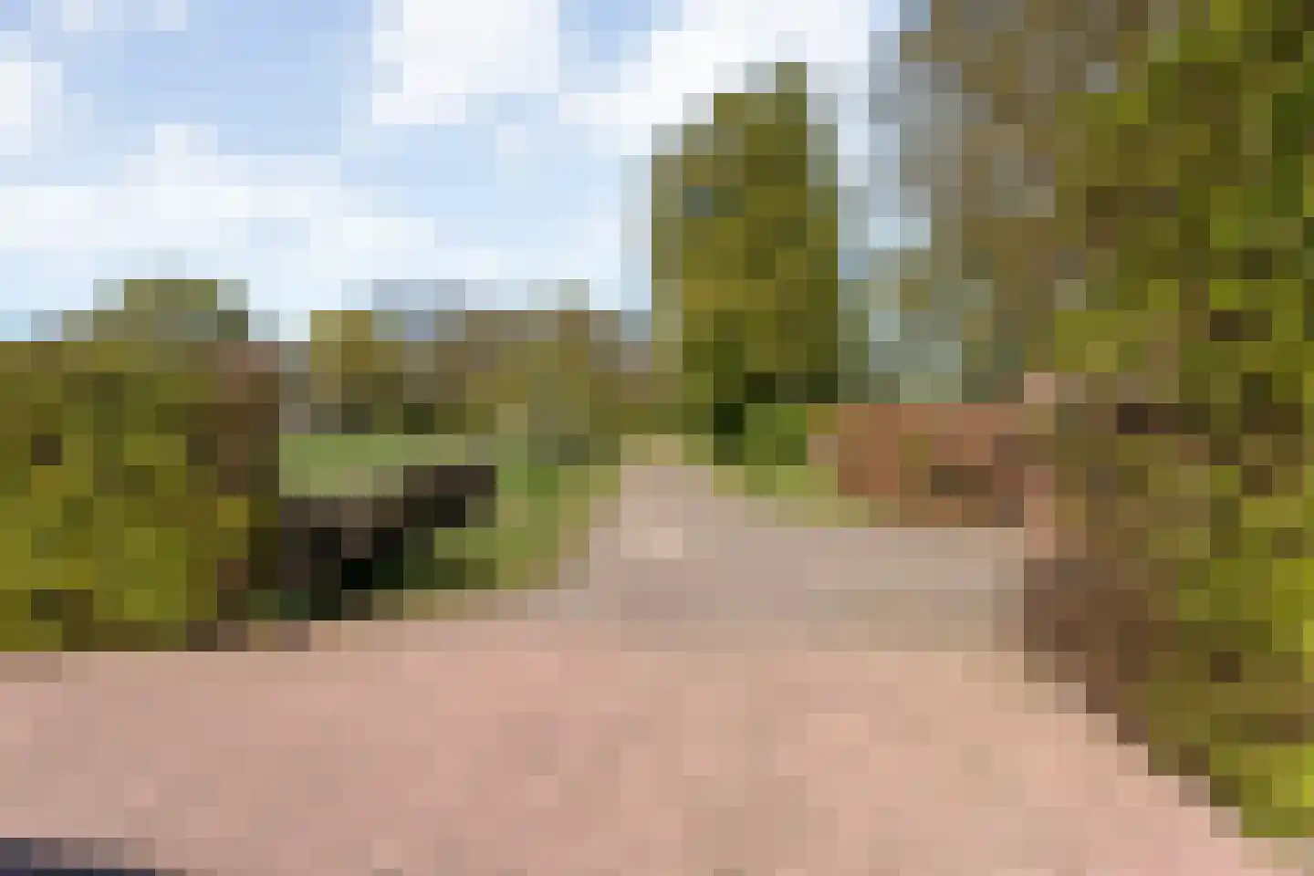 Hoofdweg 107 Coevorden thumbnail 69