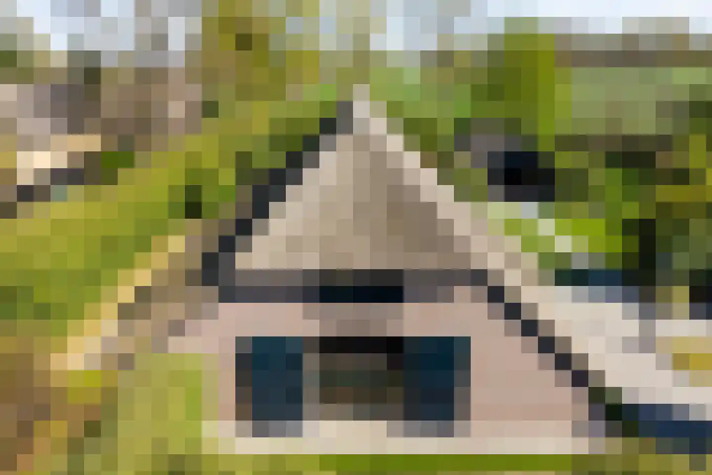 Hoofdweg 107 Coevorden thumbnail 74