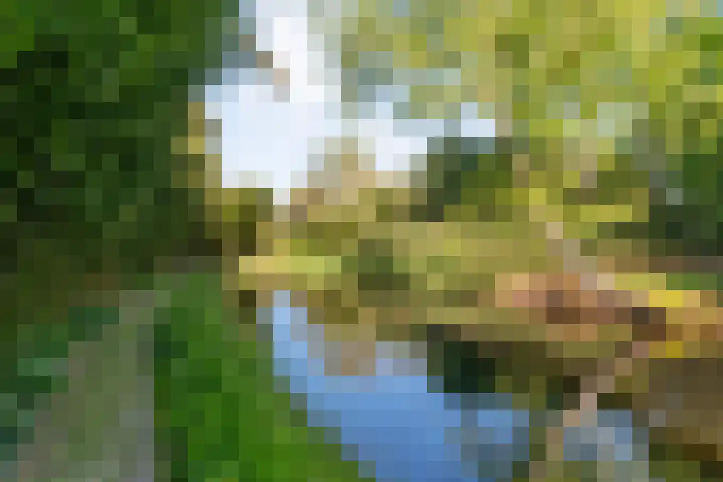 Hoofdweg 107 Coevorden thumbnail 82