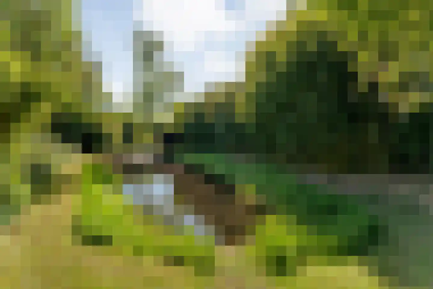 Hoofdweg 107 Coevorden thumbnail 83