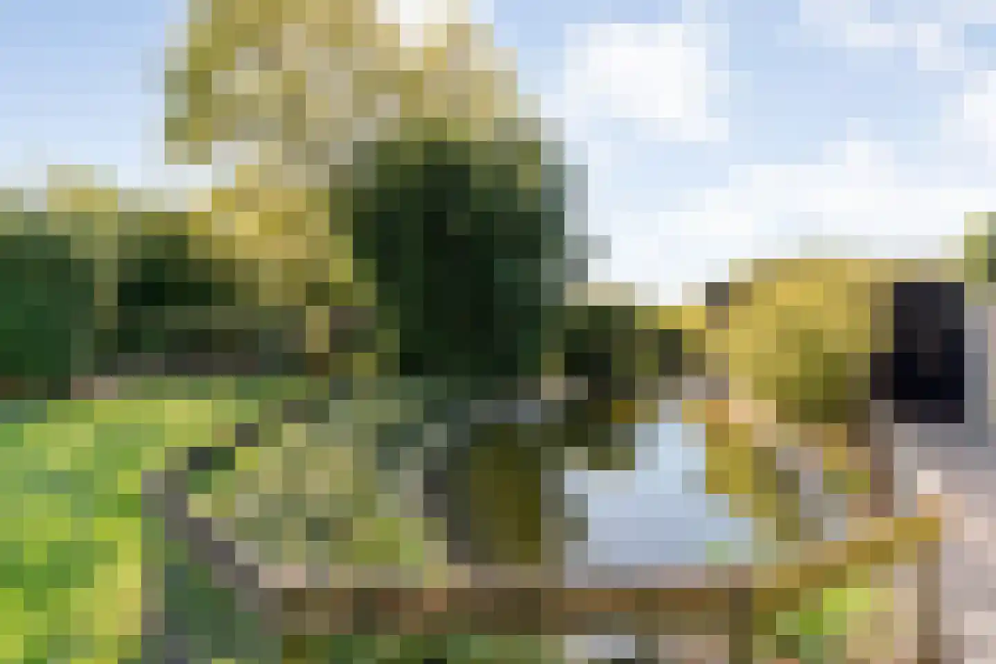 Hoofdweg 107 Coevorden thumbnail 86