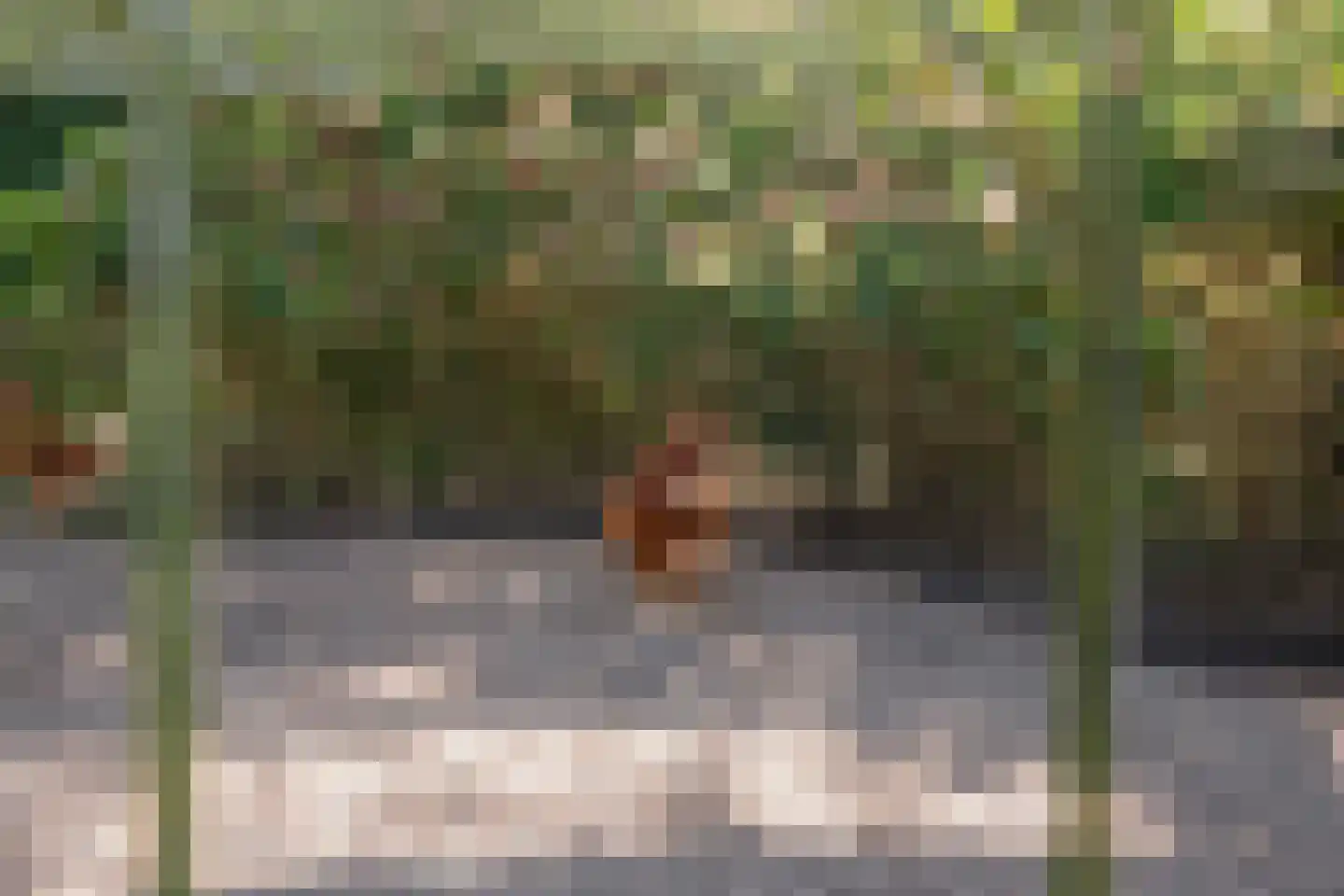 Hoofdweg 107 Coevorden thumbnail 87